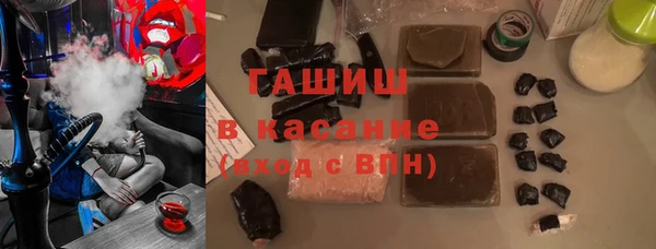 прущие грибы Белокуриха
