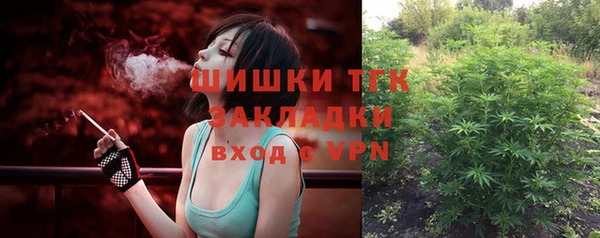 твердый Арсеньев