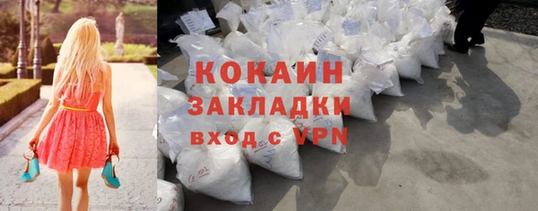 прущие грибы Белокуриха